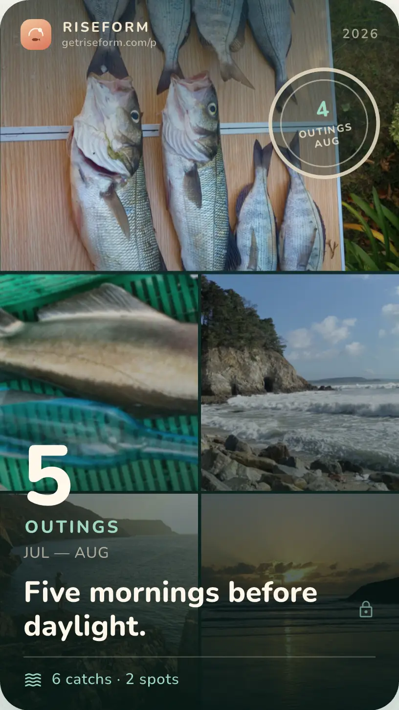 Shareable season card: twenty-five catches at Pointe du Raz, over a grid of six photographs