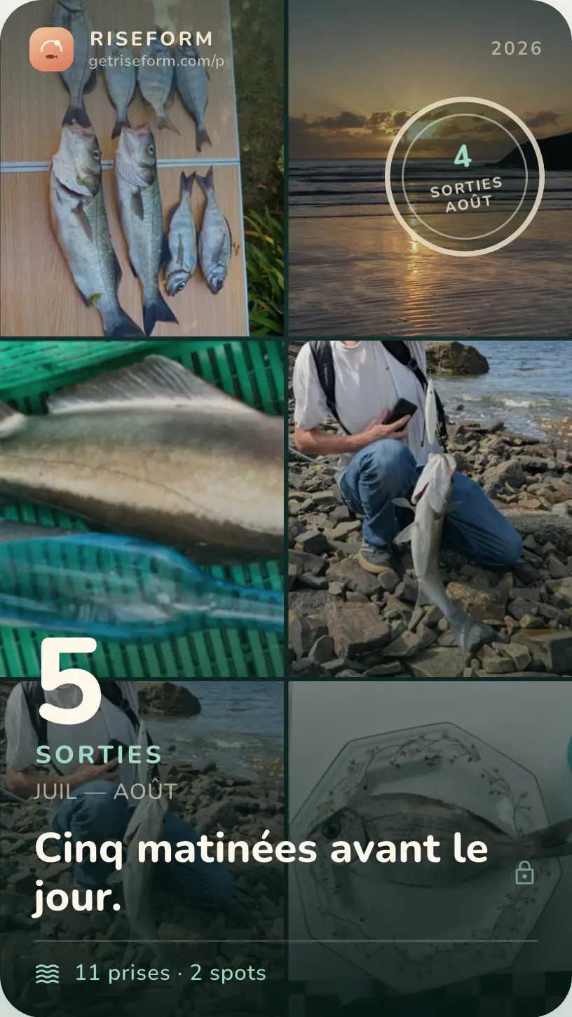 Carte de saison partageable : vingt-cinq prises à la Pointe du Raz, sur une grille de six photos