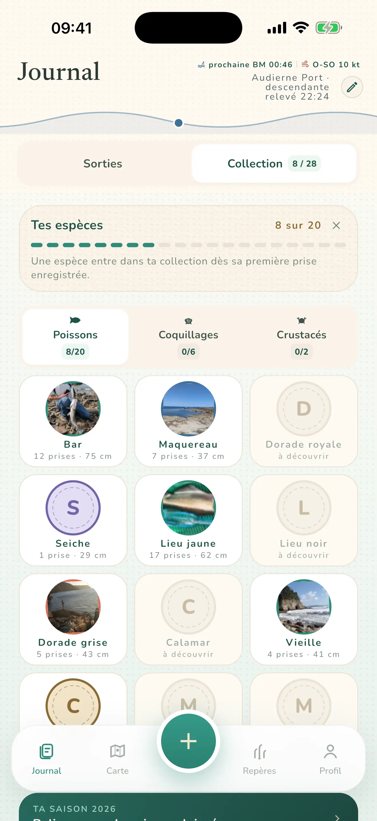 Planche de collection : huit espèces révélées sur vingt poissons, chacune illustrée par une prise photographiée